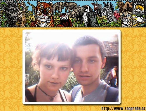 V zoo
